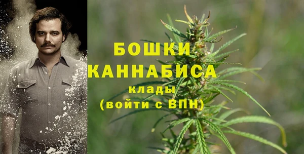 мет Покачи
