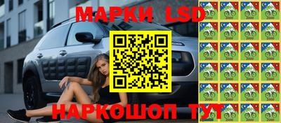индика Гудермес
