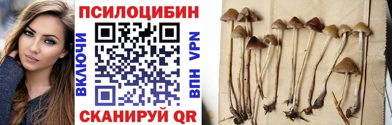 площадка какой сайт  где купить наркоту  Заринск  Галлюциногенные грибы Psilocybe 